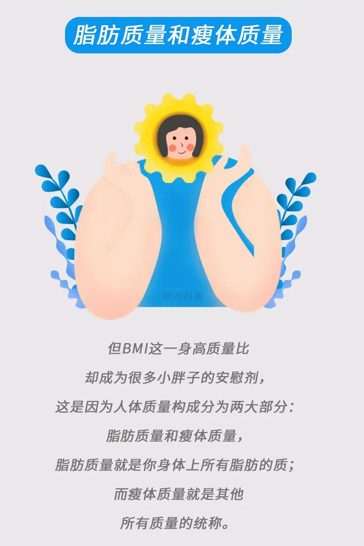 减肥看体脂率有用还是看bmi有用,减肥前要知道bmi值是多少