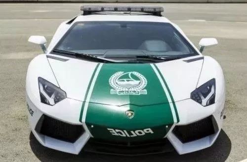 迪拜最有钱女人,迪拜和哪个国家关系好