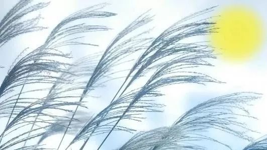 但愿人长久千里共婵娟台湾,但愿人长久日本