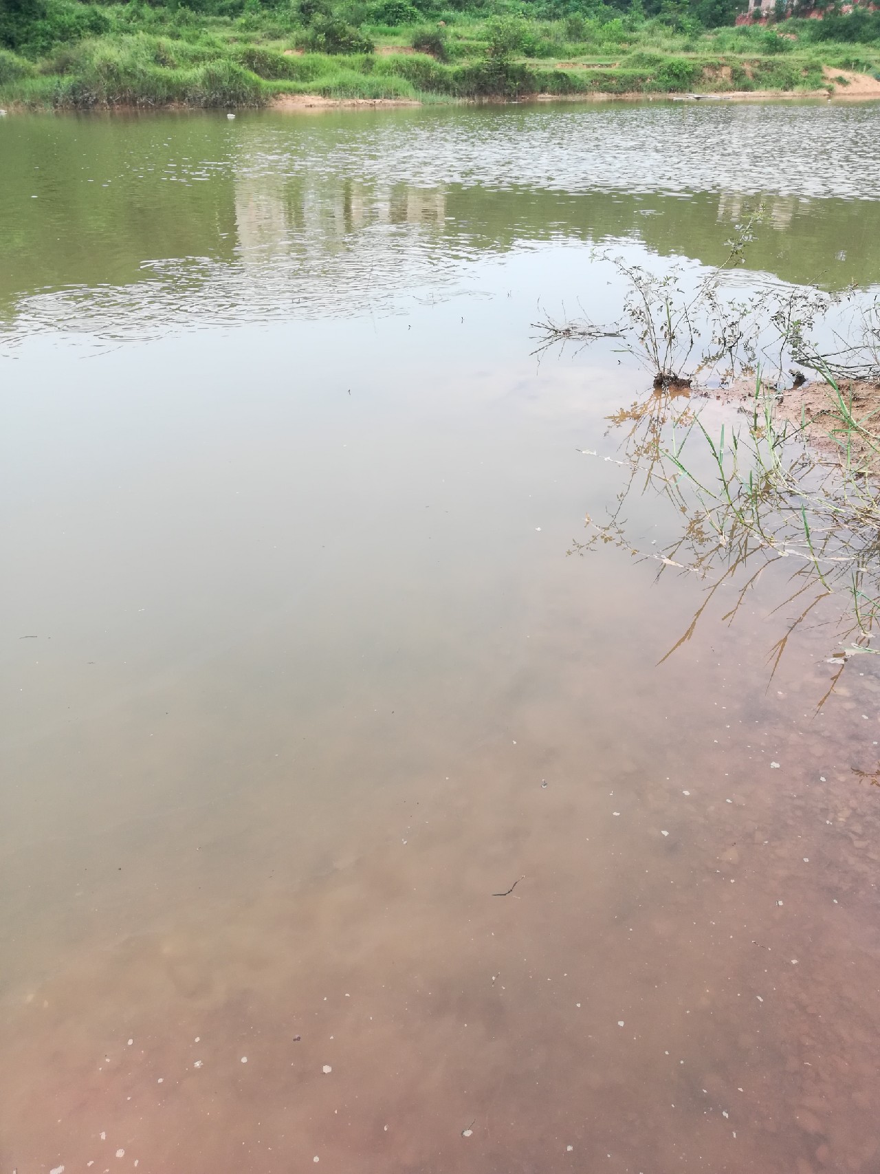 兄弟齐心不轻言放弃排除困难最终得圆满