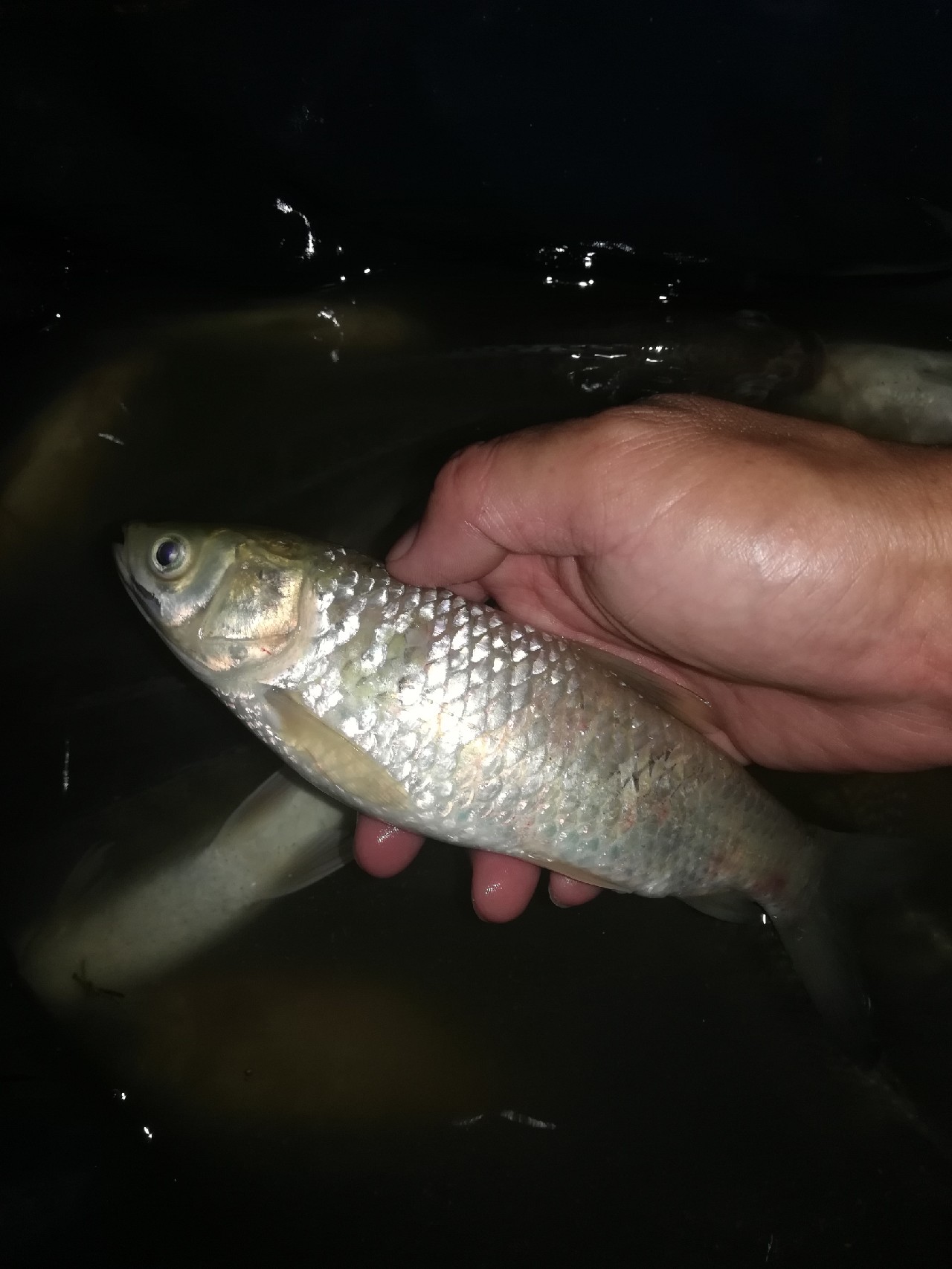 兄弟齐心不轻言放弃排除困难最终得圆满