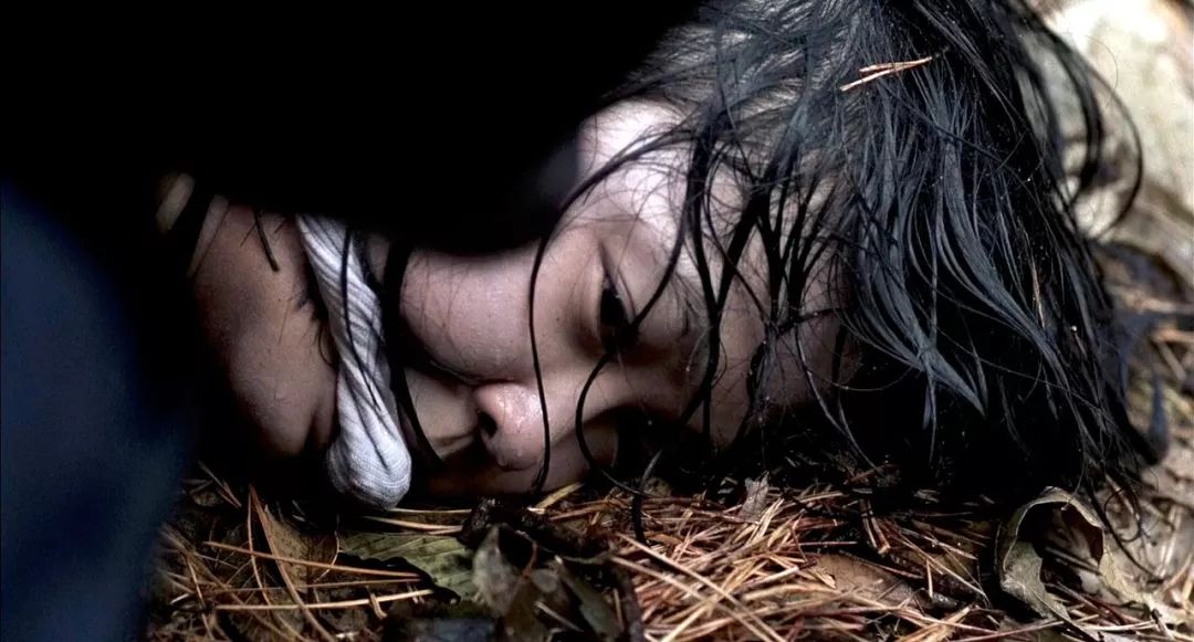 华城连环杀人案官方最终报道,韩国华城连环杀人案34年后结案