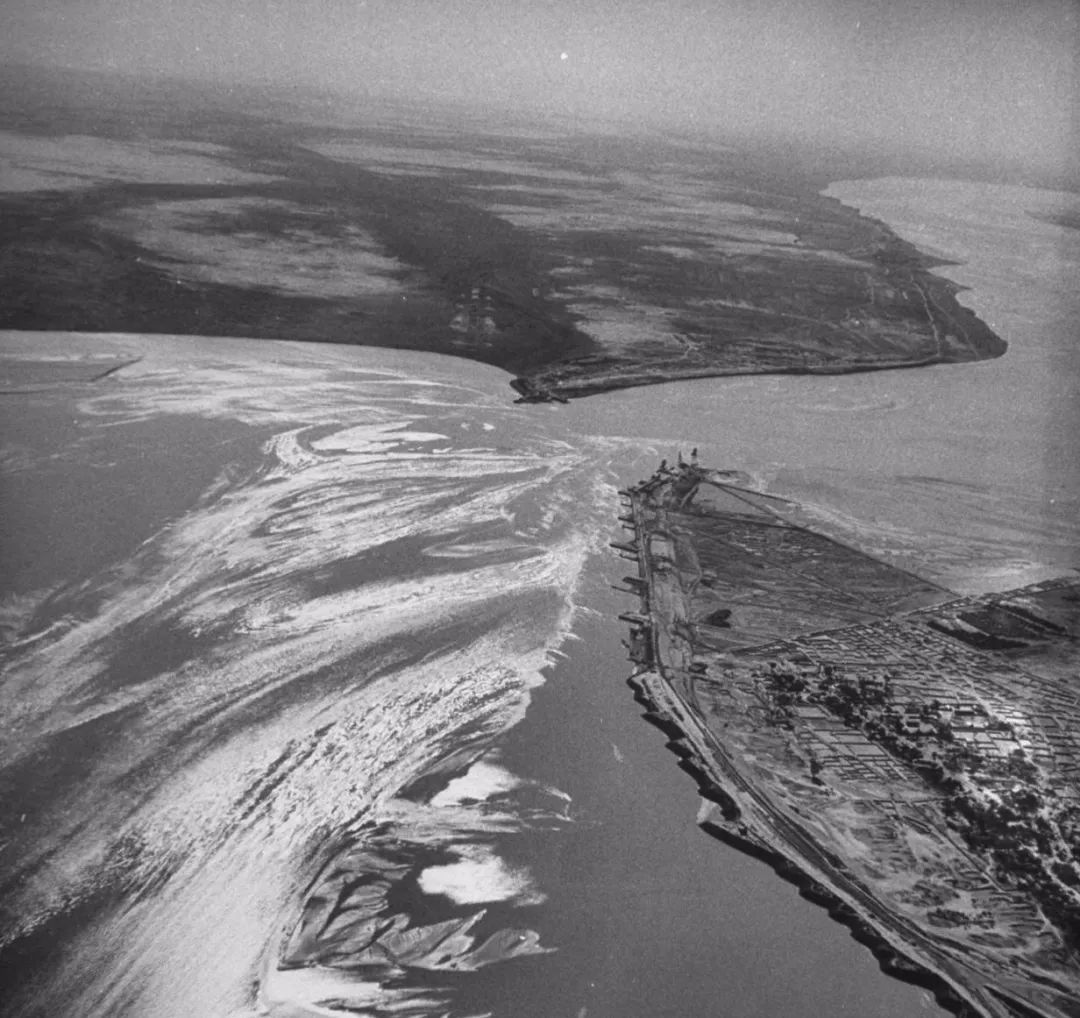 按吨起步支援湖北的蔬菜，背后是世界第一硬核蔬菜大国