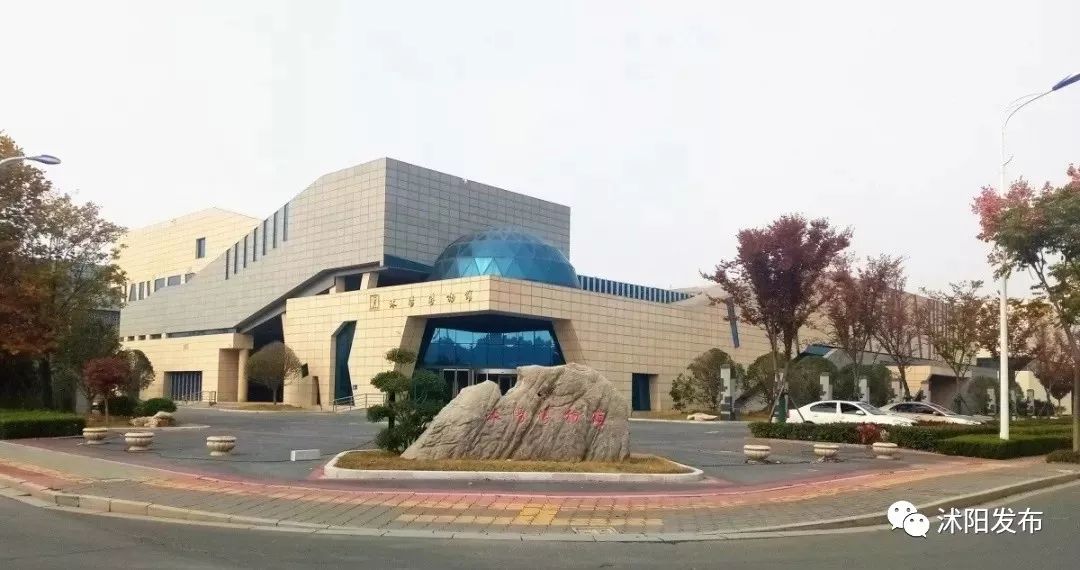 娌槼鏃呮父璺嚎鎺ㄨ崘,姹熻嫃娌槼鏃呮父鏀荤暐璺嚎