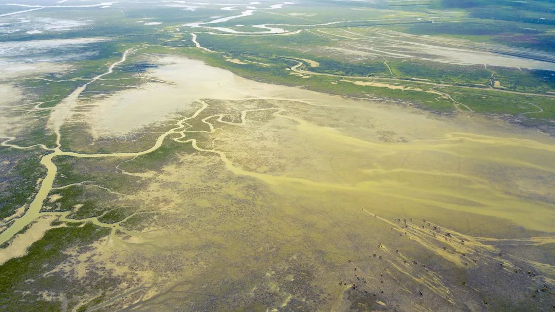 认识世界从哪里开始,认识世界从认识什么开始