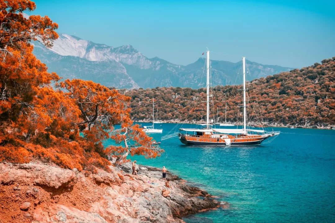 冯骥才,冯骥才秋天的音乐散文