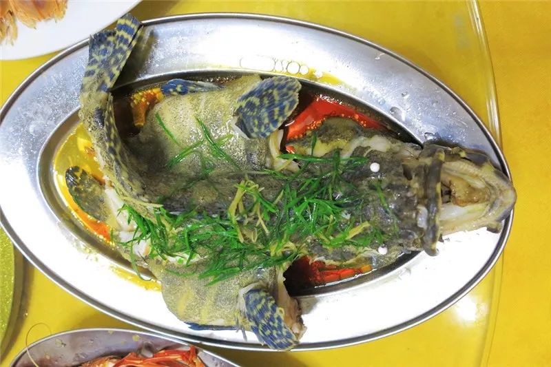 情况严重！江门新会19岁女孩天天吃鱼，竟致手脚长满疱疹