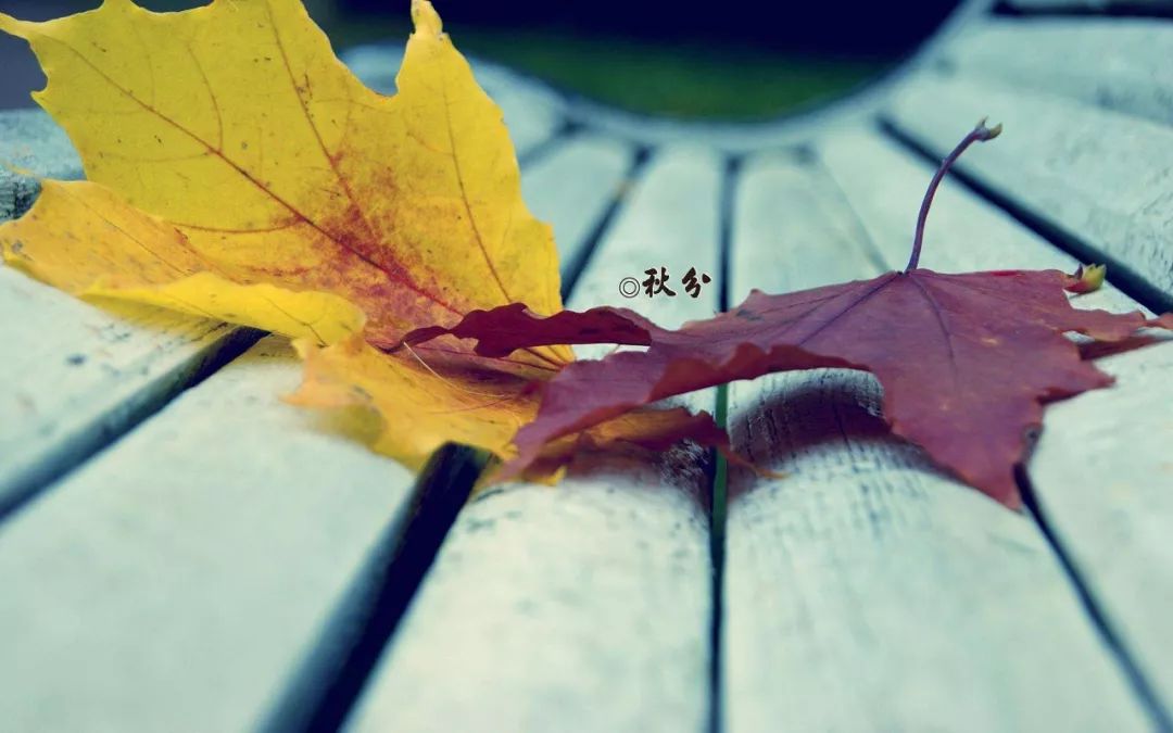 秋分人间半秋岁月无恙,秋分秋色层林尽染