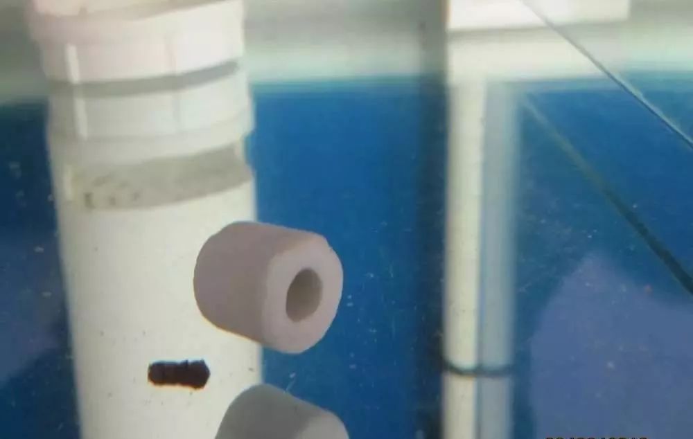 梭菌性肠炎的症状用什么药治疗,慢性肠炎怎么治疗好能彻底去根