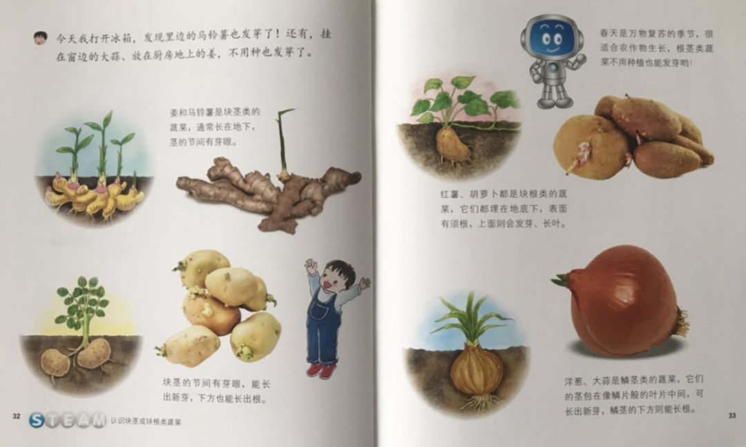 3~7岁孩子必备的科普读物《小小牛顿幼儿馆》，华语世界最有影响力的台湾童书