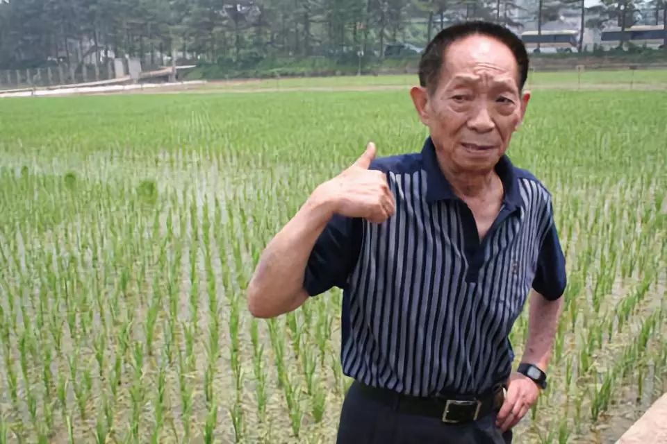 一个很高调的人突然变得很低调,低调的人低调到什么程度