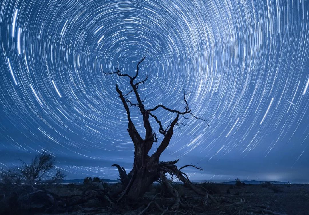 包头去额济纳胡杨林攻略,广州到额济纳胡杨林攻略