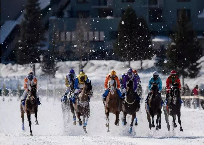 最有名的赛马节,全世界最大的赛马节
