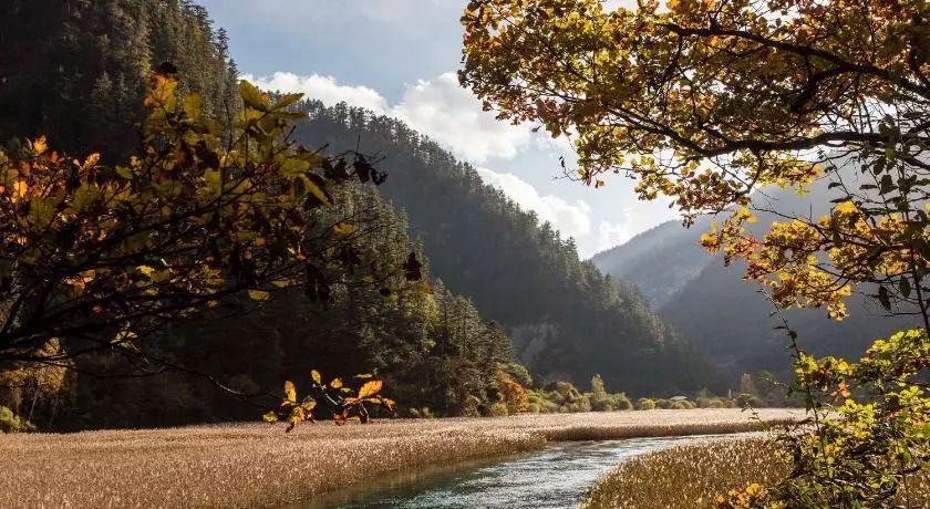 九寨沟恢复开园,九寨沟恢复迎客首游现场直播