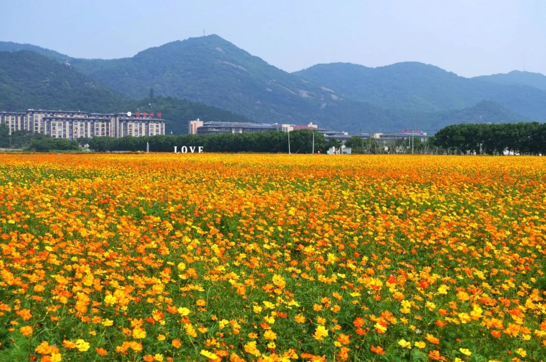 火车来斯，阿狸乐园…国庆到江北玩，先看这篇！躲避拥堵，尽知一切