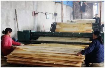 板材十大品牌教你装修板材怎么选,如何从环保角度选择家装板材