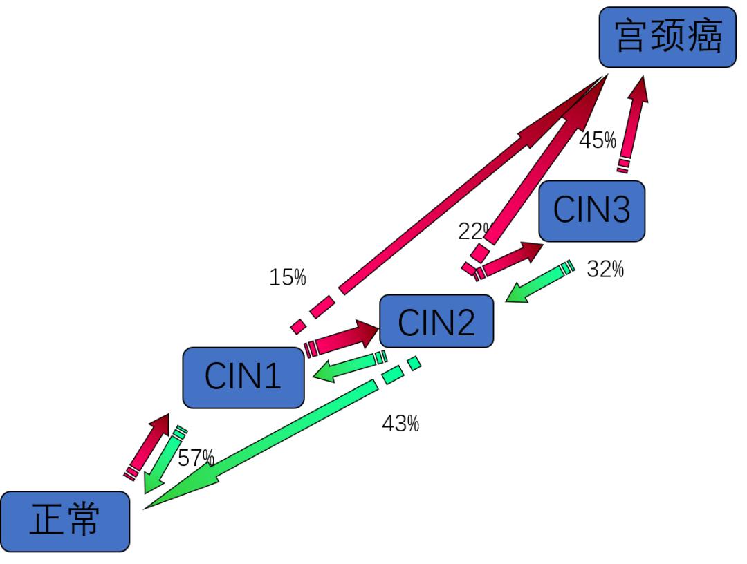 从hpv感染到原位癌得多长时间,从hpv感染发展到宫颈癌一般要多久