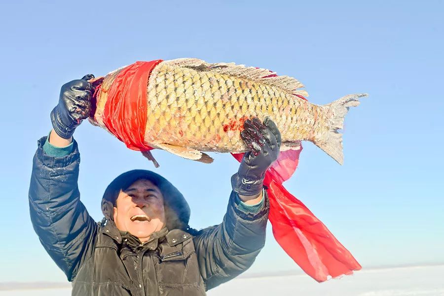 我的祖国美丽的家园,我爱你美丽的祖国