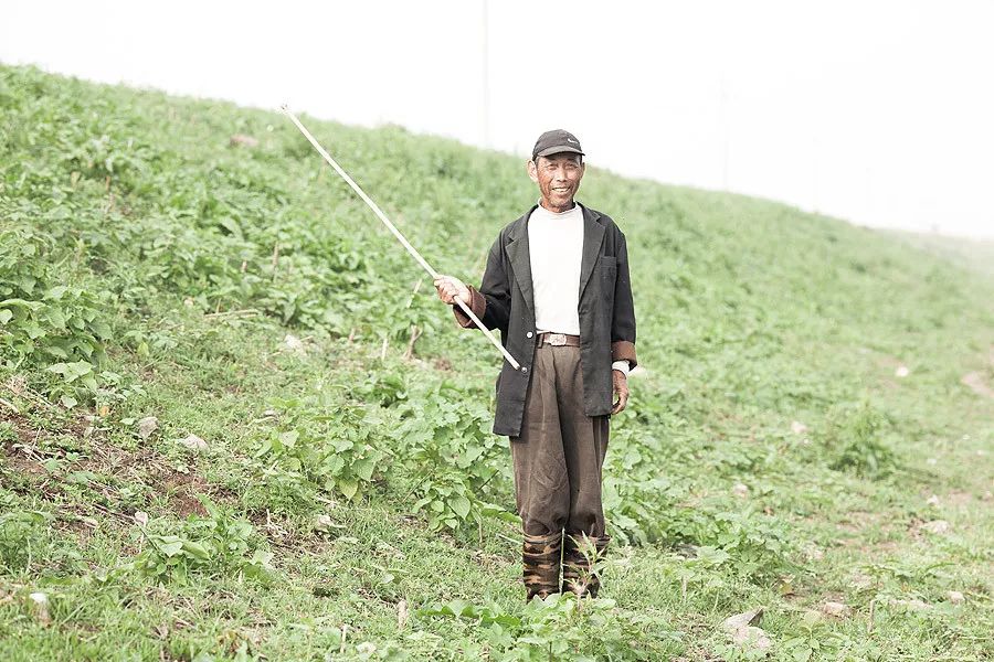 我的祖国美丽的家园,我爱你美丽的祖国