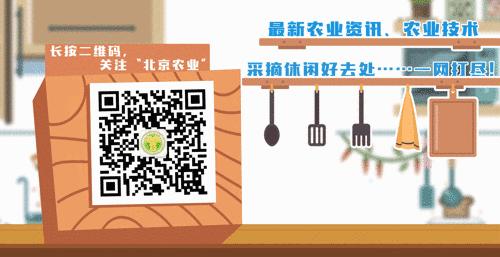 没放油的炒花生放多久变脆,炒花生先放盐还是后放盐