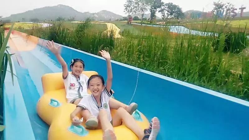 西海岸菊花展时间,西海岸菊展