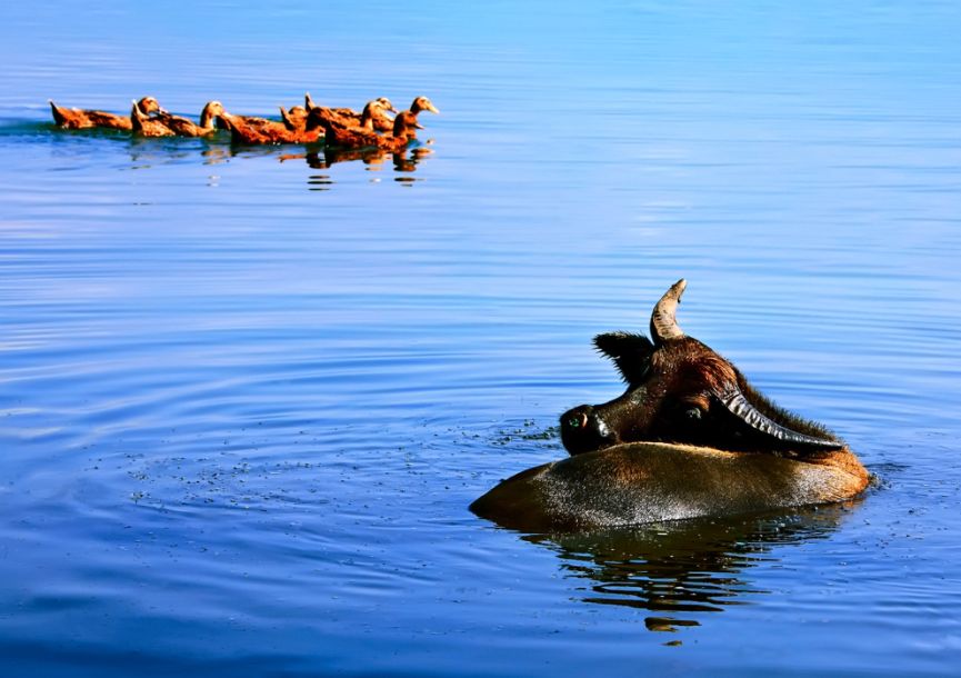 中国梦70周年绘画图片,70周年中国梦绘画作品图片