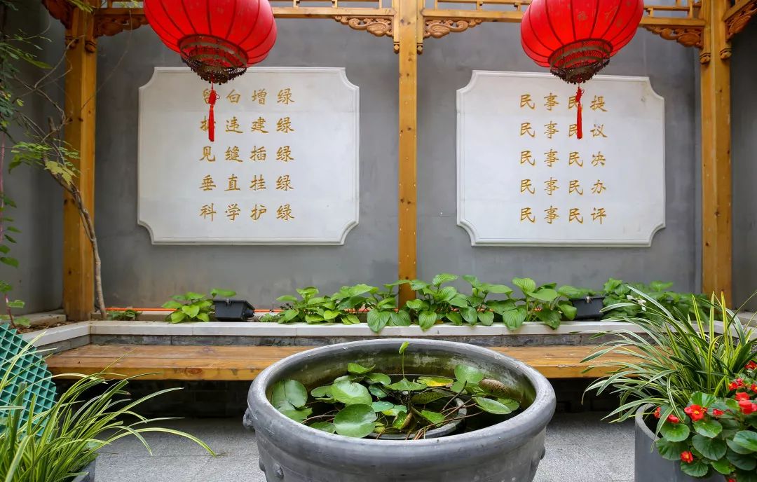 今年全市739条背街小巷花团锦簇（下）