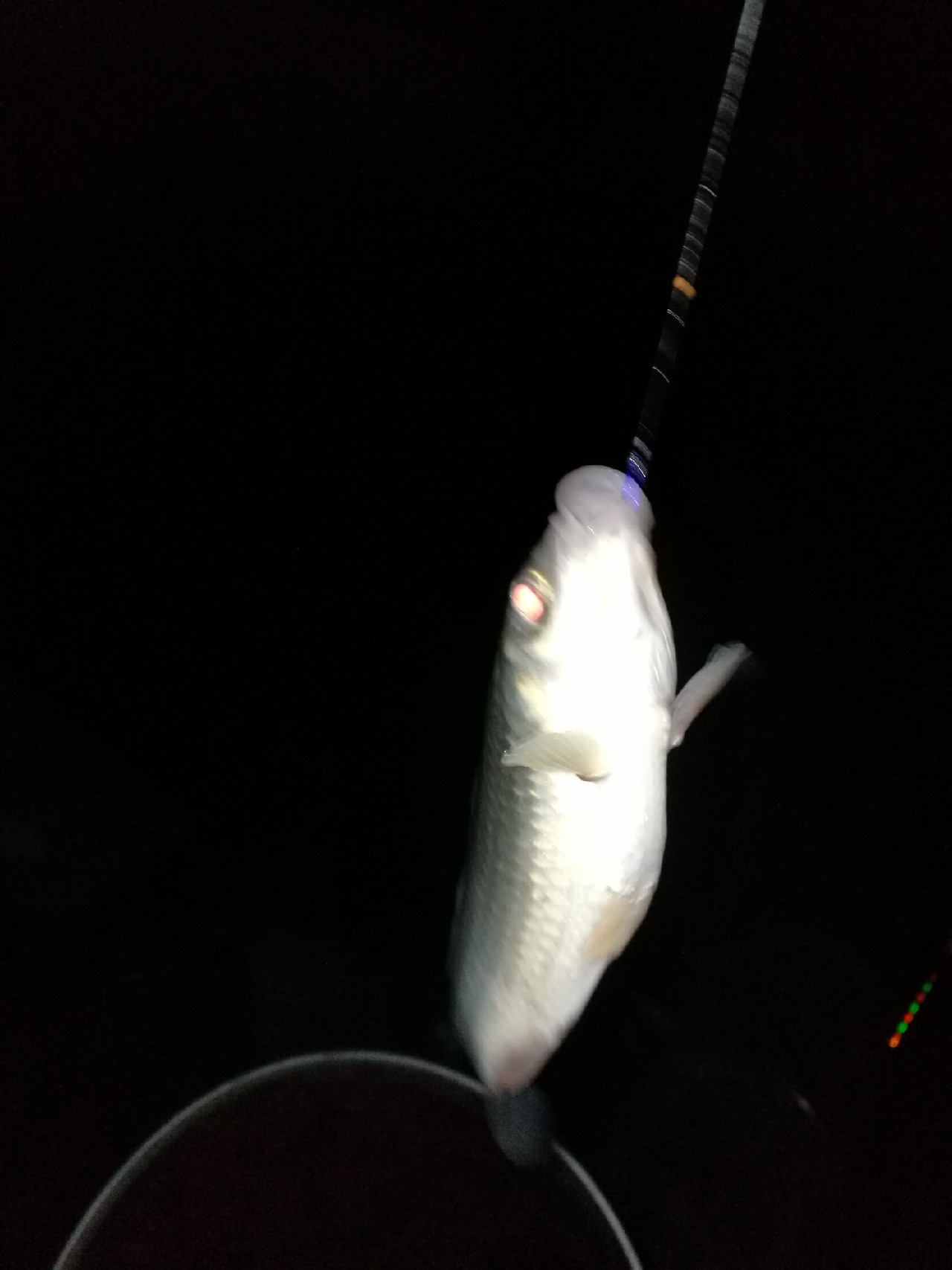 调整军事战略方针,调整战术与战略