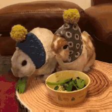 处cp真的会有感情吗,处cp之后为什么会变菜