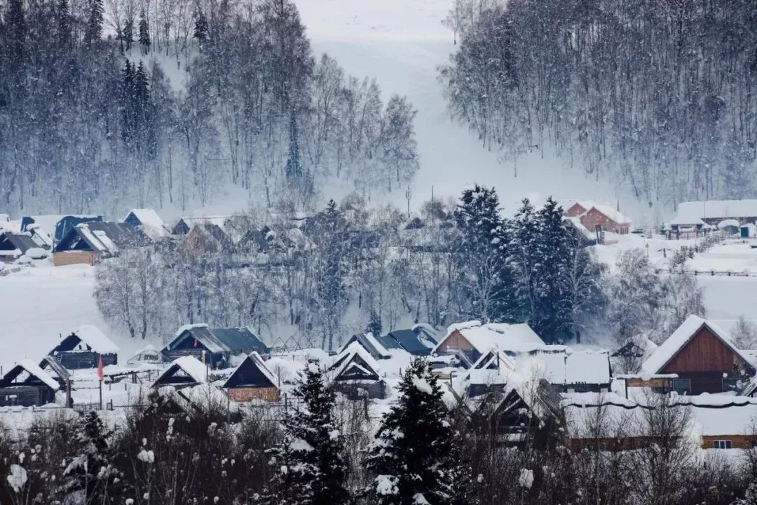冬天的新疆喀纳斯,冬天是去伊犁还是喀纳斯