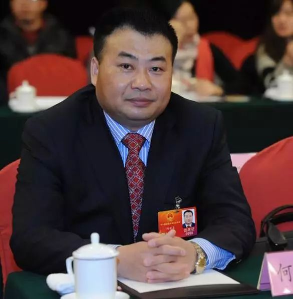 无为籍优秀企业家,无为籍企业家