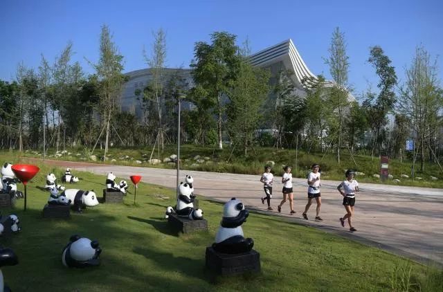 每逢佳节胖三斤减肥从今天开始吗,每逢佳节胖三斤运动起来吧