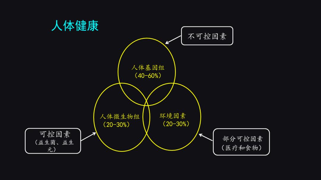 李宁奋斗历程英文版,李宁夜以继日