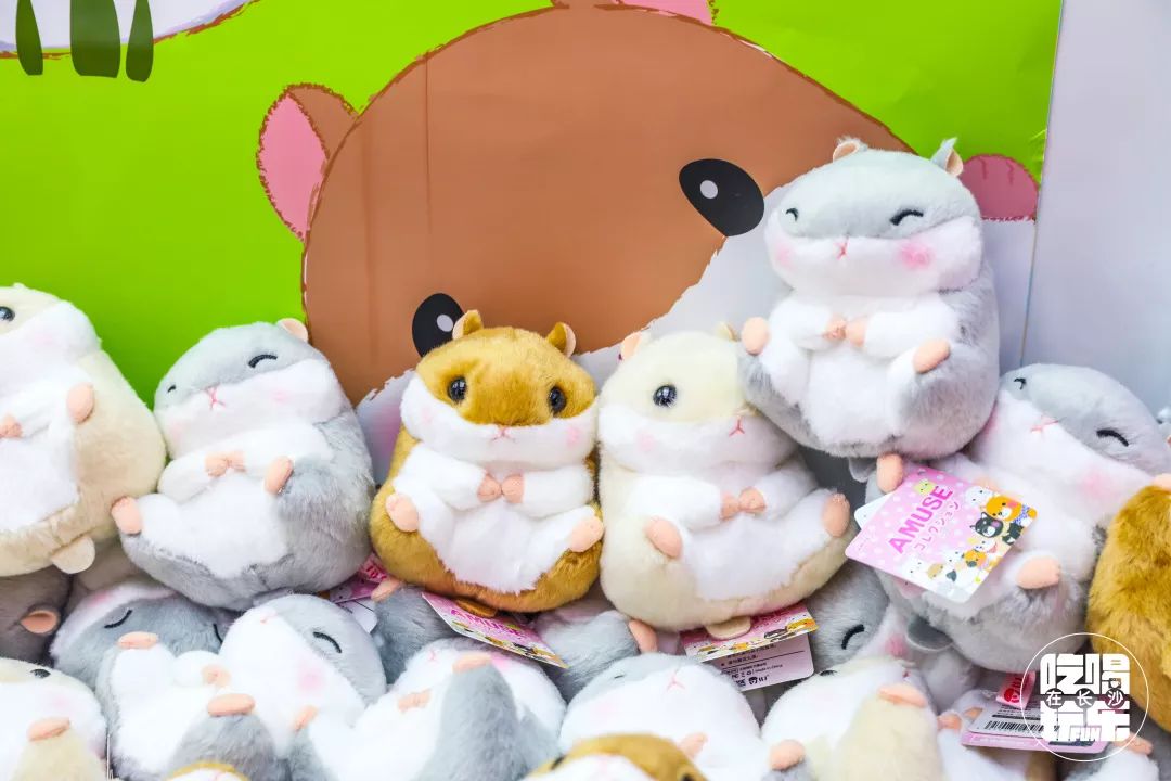 长沙都有哪些一线品牌,长沙新晋打卡排行榜前十名