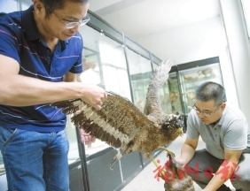 黄楮林在哪里,福建闽清黄楮林