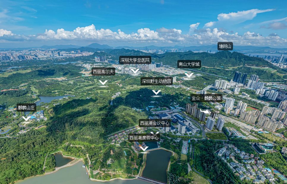 金众麒麟公馆值得买吗,深圳湾金众麒麟公馆