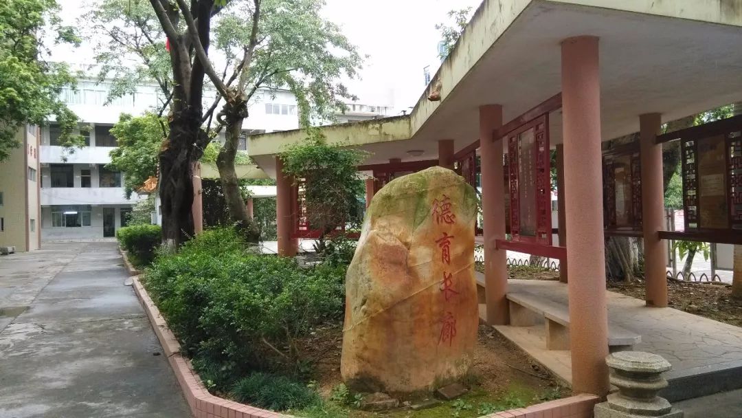 广州增城区小学前十名,广州增城学校排名前十名小学