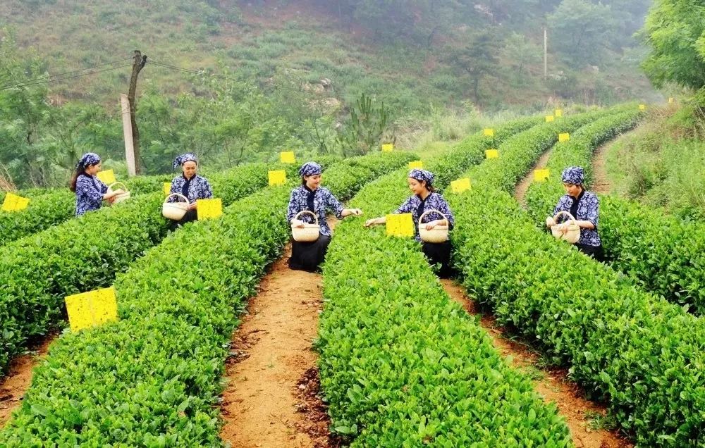 市场监管局的工作你觉得怎么样,海淀区市场监管局是干啥的