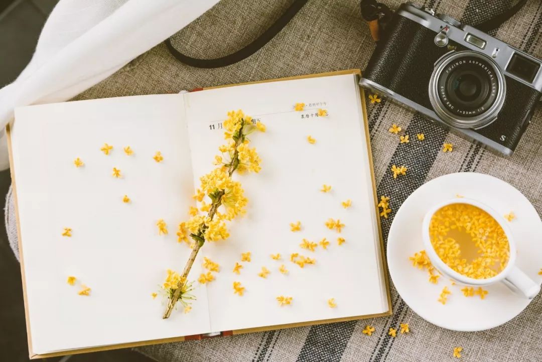 溧阳知青农场网红打卡地,溧阳网红打卡地茅山