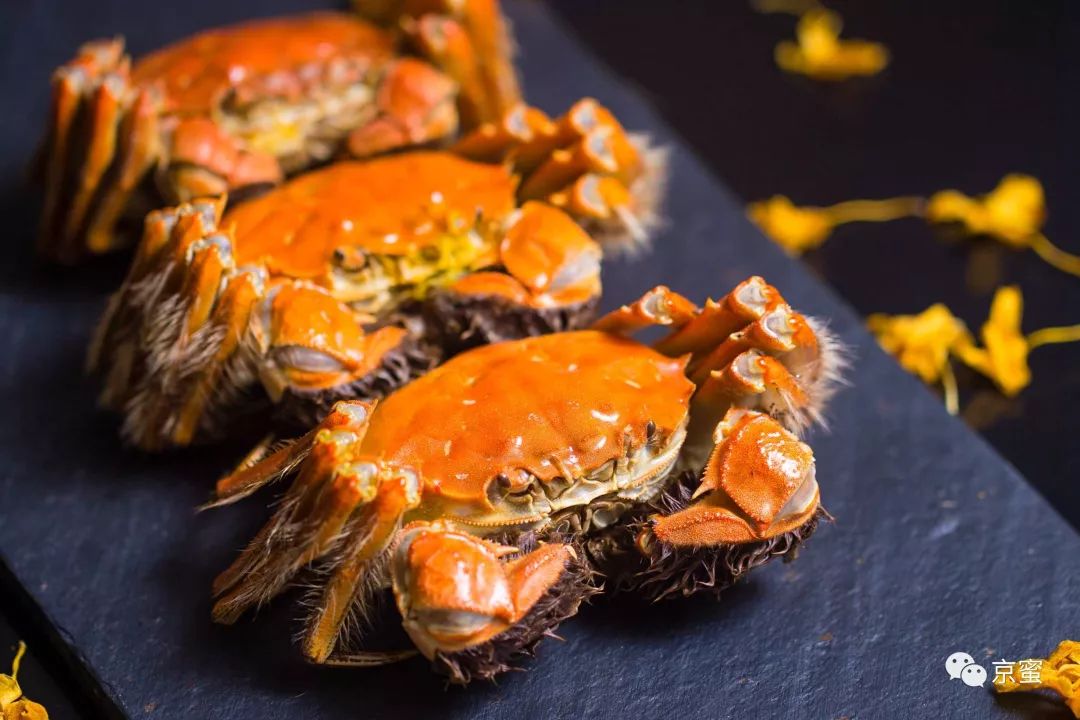 吃蟹最好吃的地方,这里有一份吃蟹全攻略等你来拿