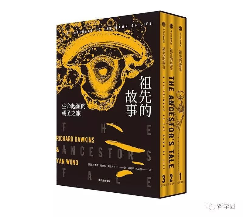 人类进化背后的万年相亲博弈