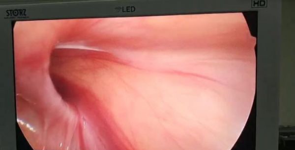 健康科普大赛问答,如何对待健康科普知识