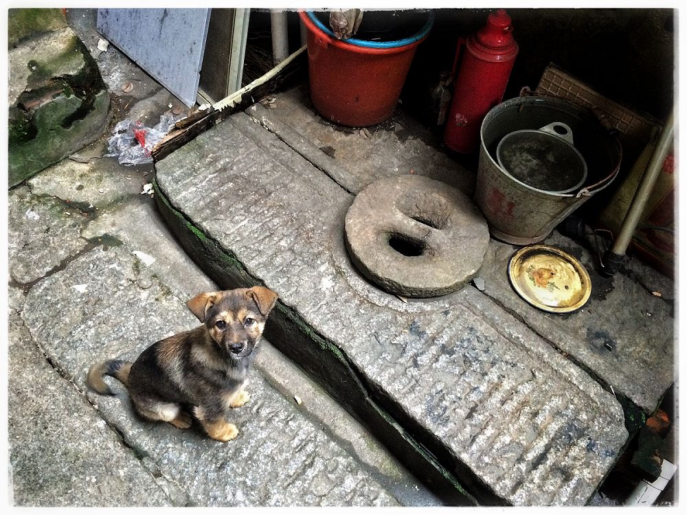 长沙人文和历史,长沙新河三角洲历史