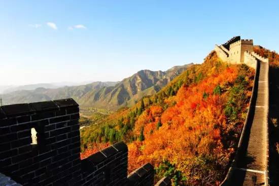 天津赏红叶的公园,天津赏红叶好去处