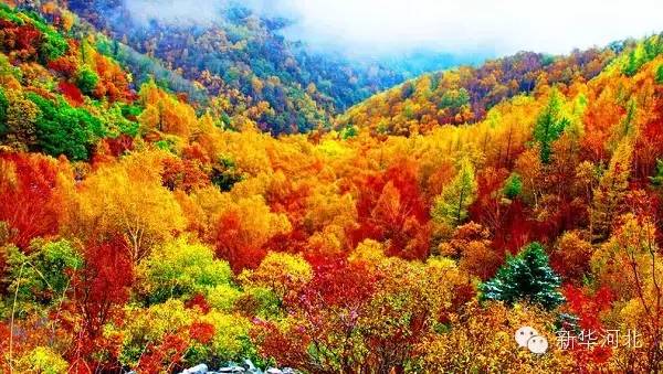 天津赏红叶的公园,天津赏红叶好去处