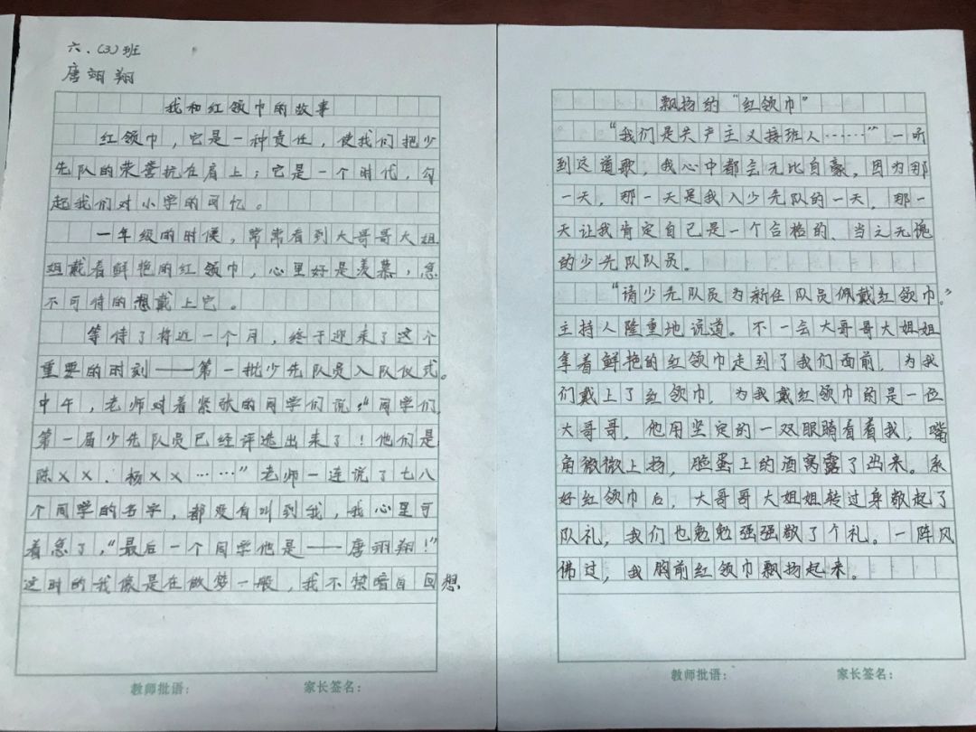 红领巾心向党少先队献词大赛,红领巾心向党争做新时代的好队员