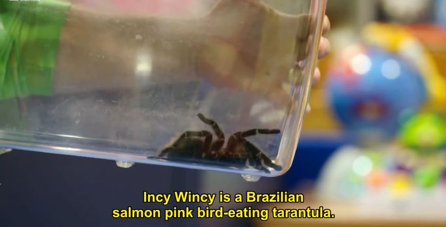 bbc苏格兰纪录片,bbc纪录片苏格兰