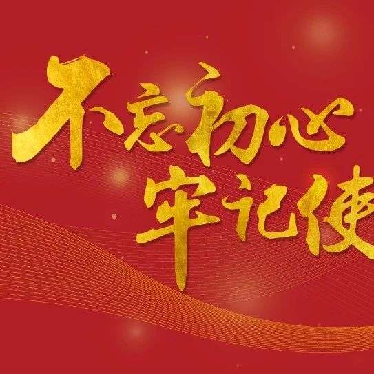 问题导向推动主题教育走深走实,主题教育五个导向