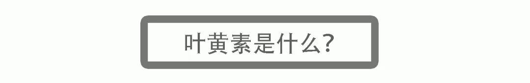 对眼睛好的叶黄素哪个牌子好,仁和叶黄素对眼睛真的有效吗