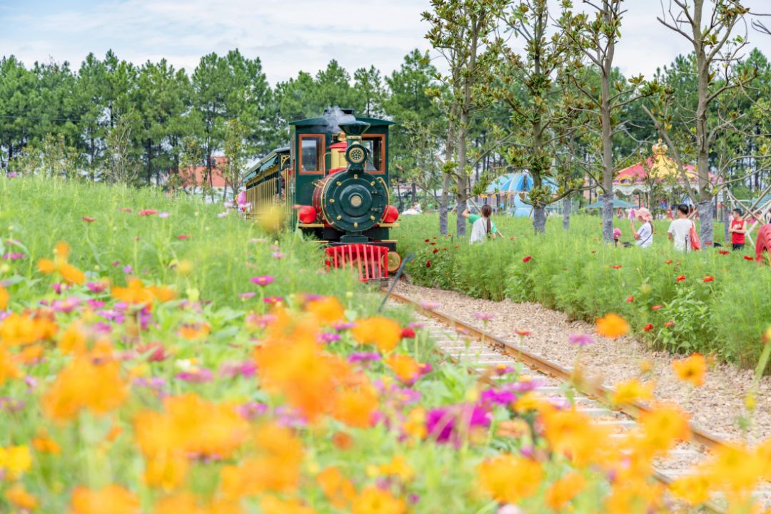 四月浙江最美花海,浙北绝美风光